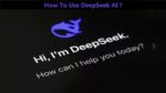 DeepSeek